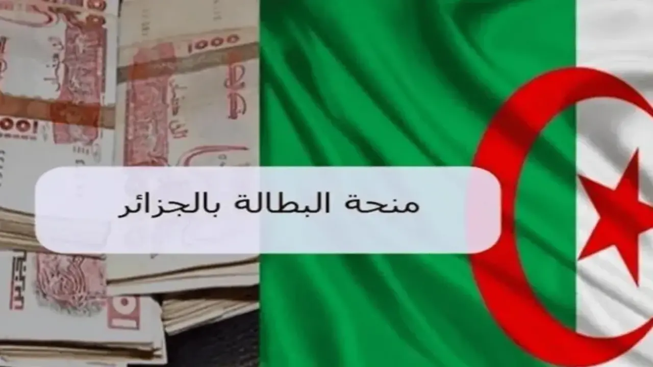 عاجل.. مجلس الوزراء يقرر رفع منحة البطالة إلى 18 ألف دج 